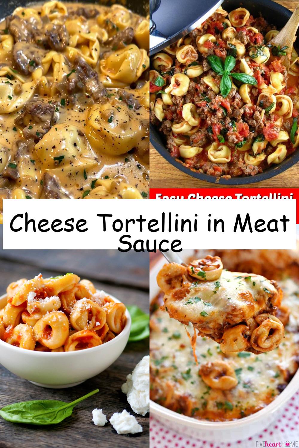 Cheese Tortellini in Meat Sauce