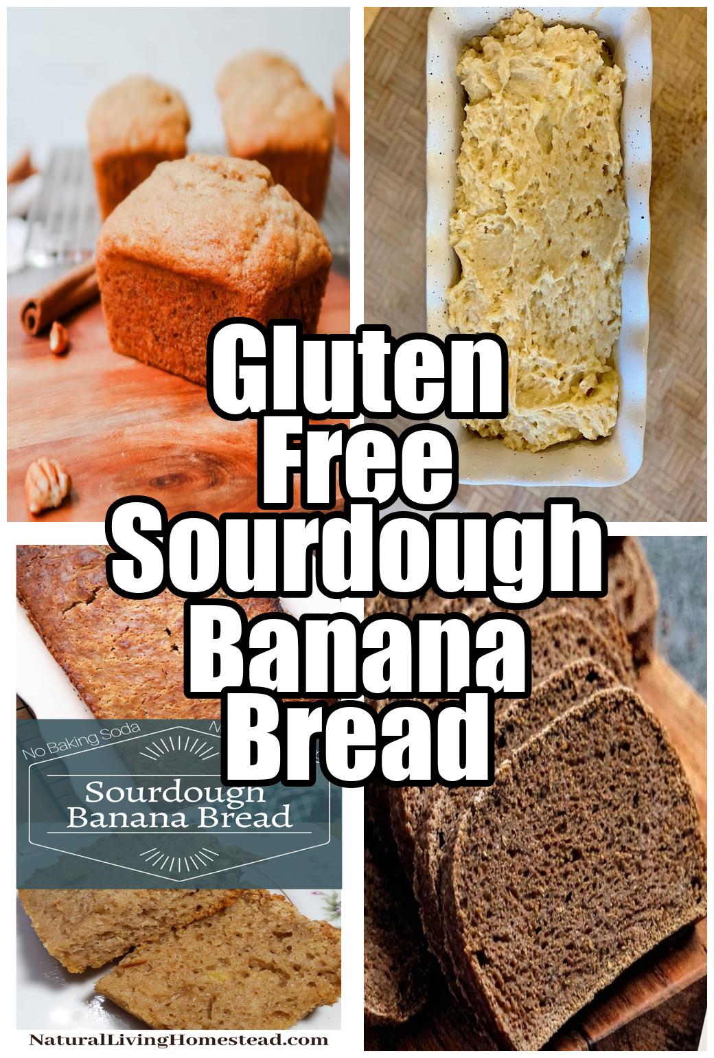 Gluten Free Sourdough Banana Bread