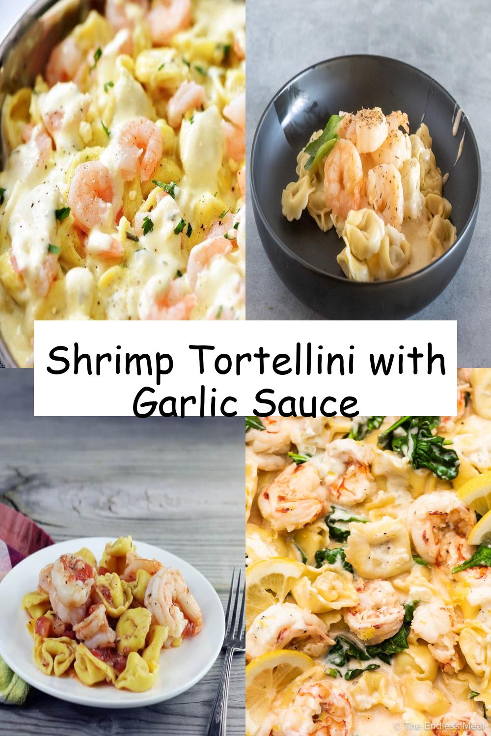 Shrimp Tortellini with Garlic Sauce