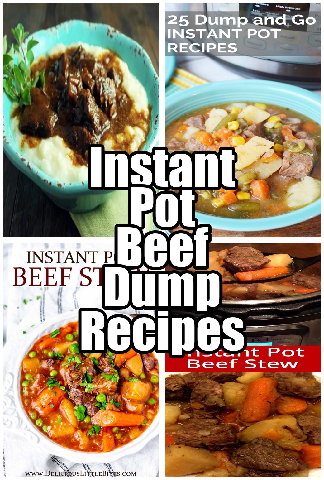 Instant Pot Beef Dump Recipes