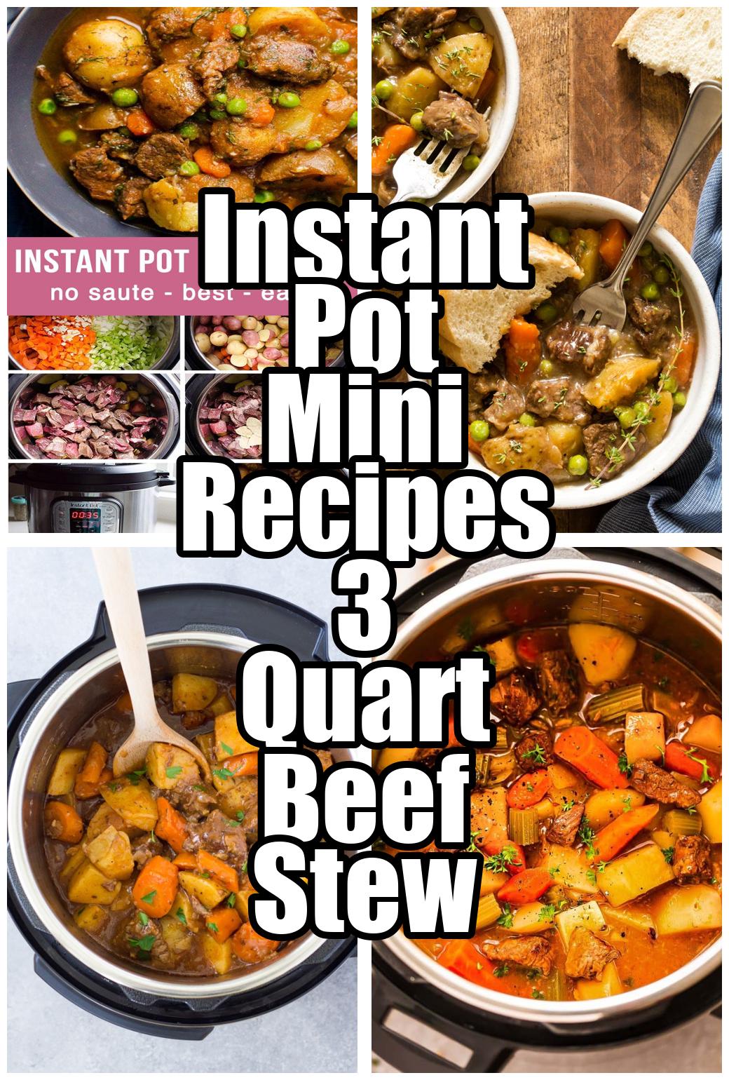 Instant Pot Mini Recipes 3 Quart Beef Stew