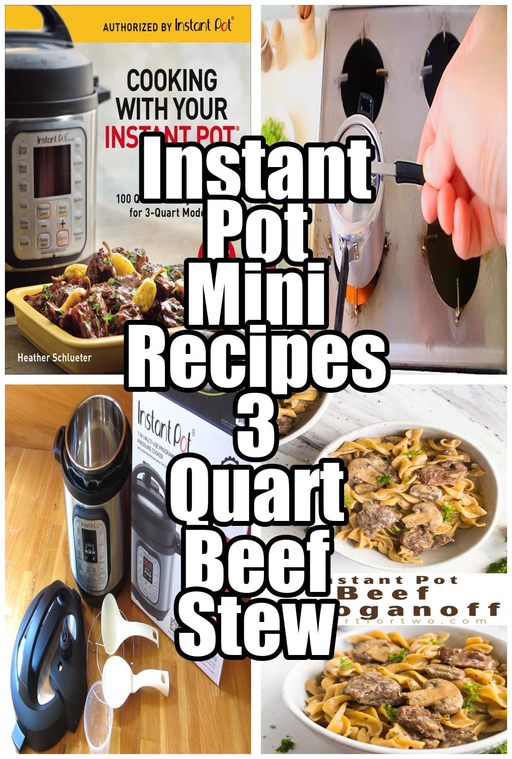 Instant Pot Mini Recipes 3 Quart Beef Stew