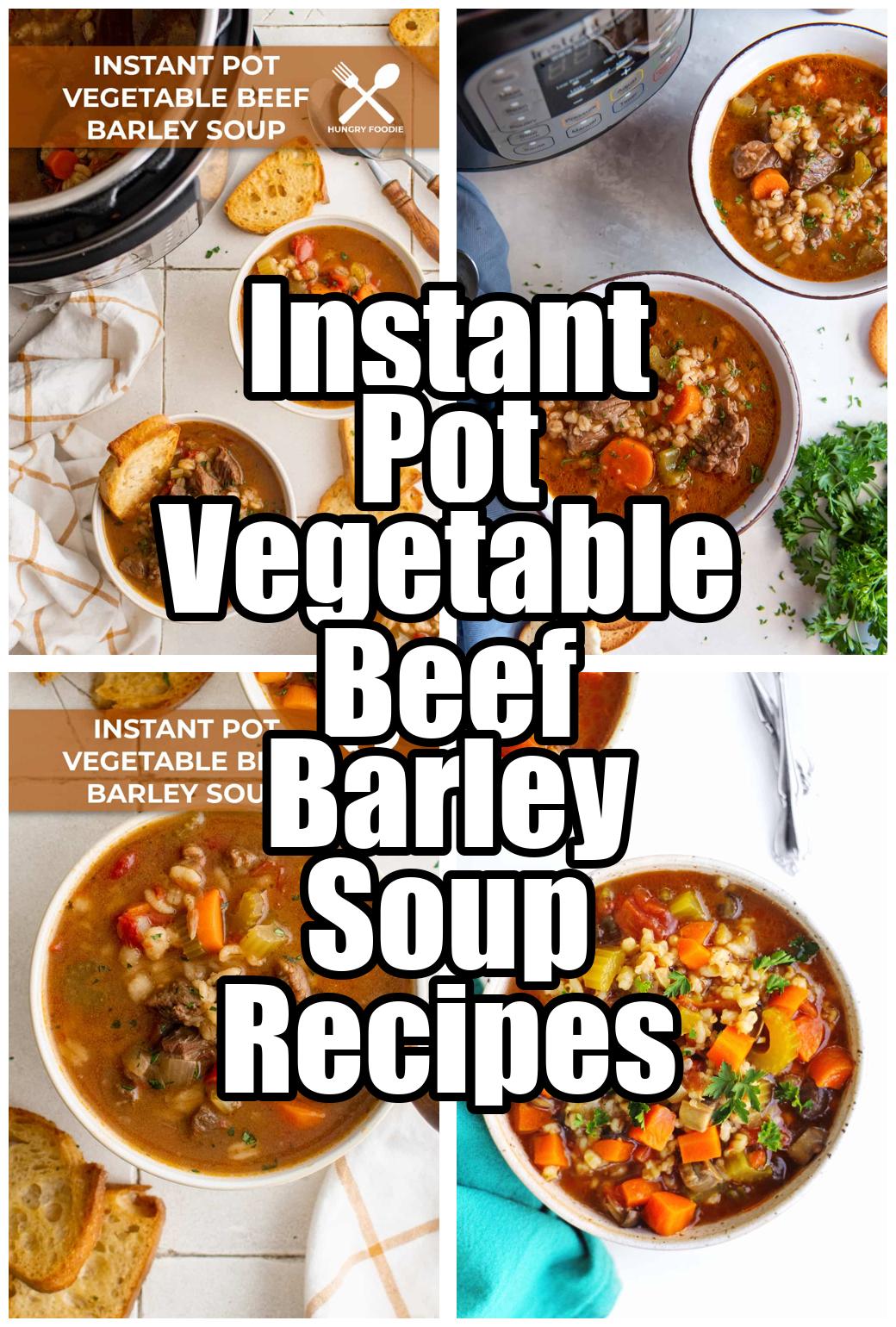 Instant Pot Vegetable Beef Barley Soup Recipes